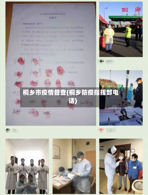 桐乡市疫情督查(桐乡防疫指挥部电话)-第1张图片