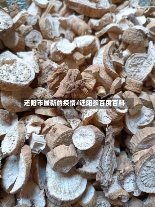 还阳市最新的疫情/还阳参百度百科-第1张图片