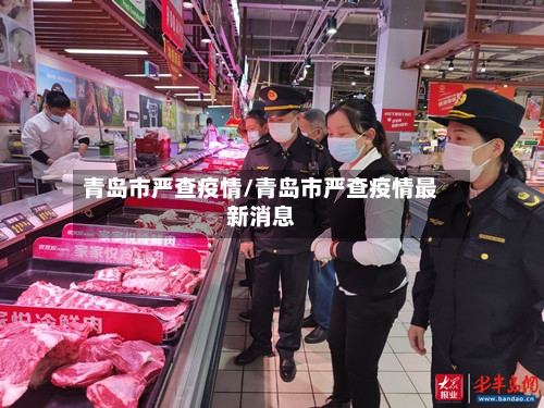 青岛市严查疫情/青岛市严查疫情最新消息-第2张图片