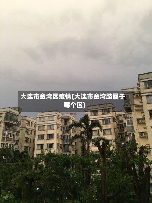 大连市金湾区疫情(大连市金湾路属于哪个区)-第3张图片