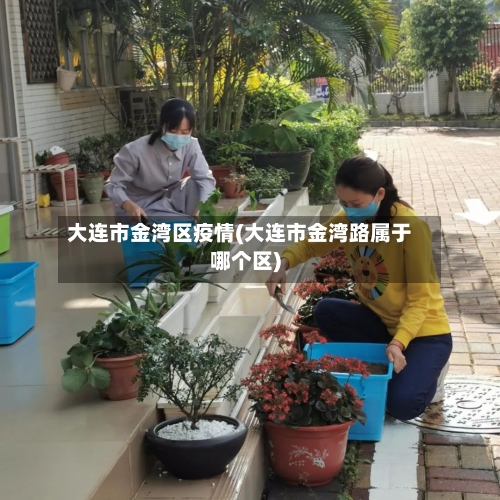 大连市金湾区疫情(大连市金湾路属于哪个区)-第1张图片