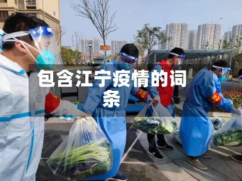 包含江宁疫情的词条-第2张图片