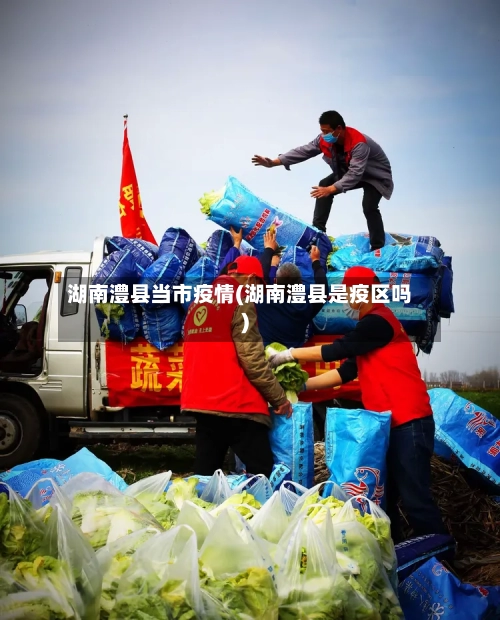 湖南澧县当市疫情(湖南澧县是疫区吗)-第2张图片