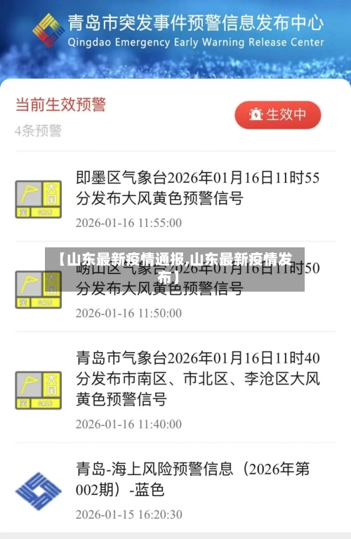 【山东最新疫情通报,山东最新疫情发布】-第2张图片