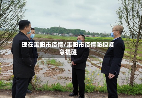 现在耒阳市疫情/耒阳市疫情防控紧急提醒-第1张图片
