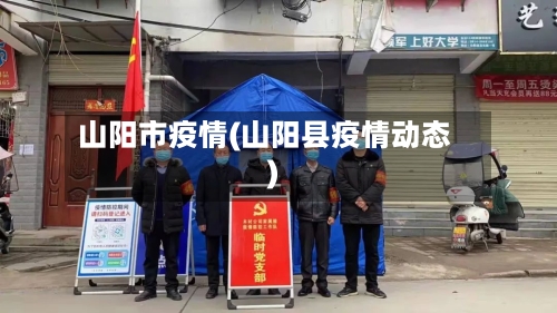 山阳市疫情(山阳县疫情动态)-第2张图片
