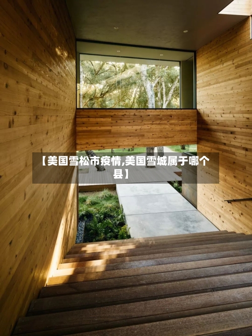 【美国雪松市疫情,美国雪城属于哪个县】-第2张图片