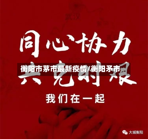 衡阳市茅市最新疫情/衡阳矛市-第2张图片