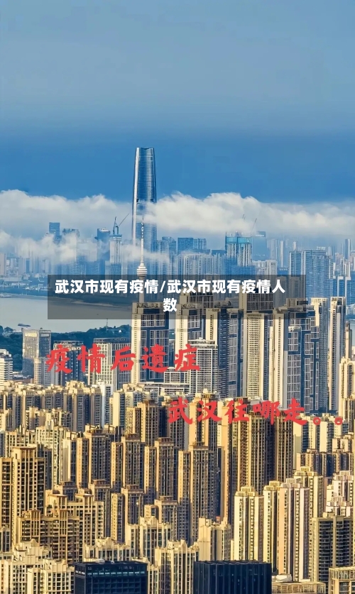 武汉市现有疫情/武汉市现有疫情人数-第2张图片