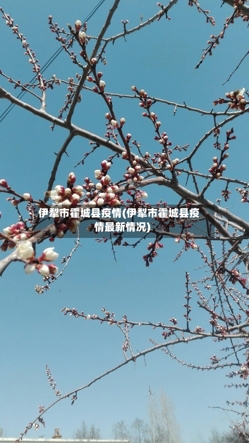 伊犁市霍城县疫情(伊犁市霍城县疫情最新情况)-第2张图片