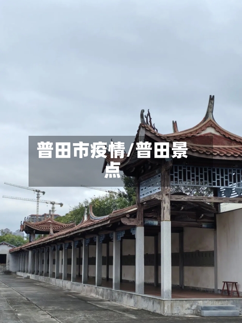 普田市疫情/普田景点-第1张图片