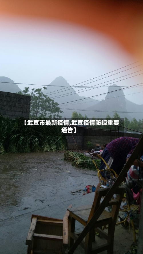 【武宣市最新疫情,武宣疫情防控重要通告】-第2张图片