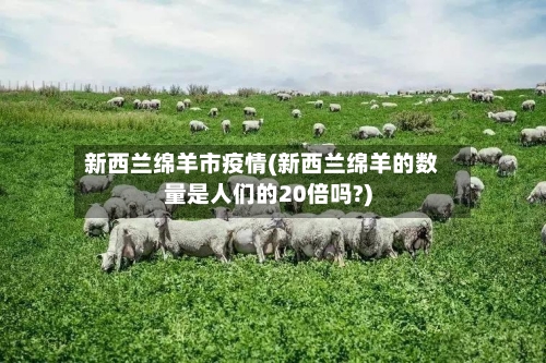 新西兰绵羊市疫情(新西兰绵羊的数量是人们的20倍吗?)-第1张图片