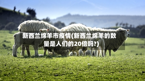 新西兰绵羊市疫情(新西兰绵羊的数量是人们的20倍吗?)-第2张图片