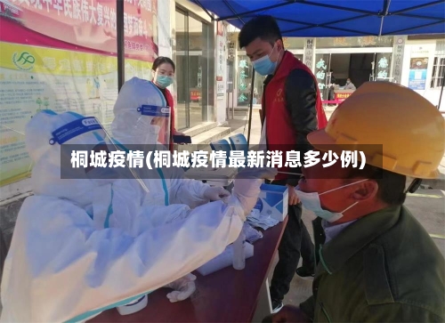 桐城疫情(桐城疫情最新消息多少例)-第2张图片