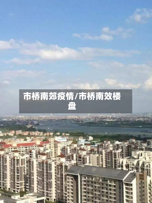 市桥南郊疫情/市桥南效楼盘-第2张图片