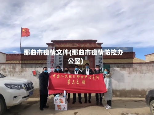那曲市疫情文件(那曲市疫情防控办公室)-第3张图片
