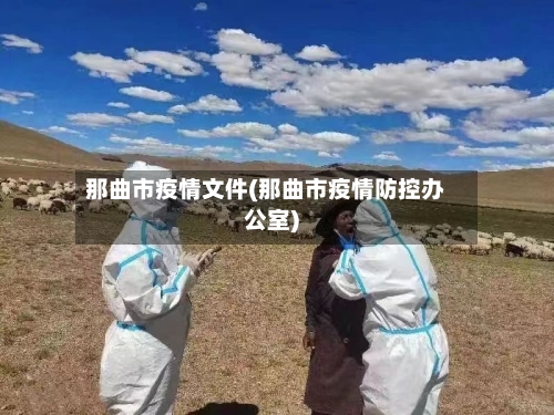那曲市疫情文件(那曲市疫情防控办公室)-第1张图片