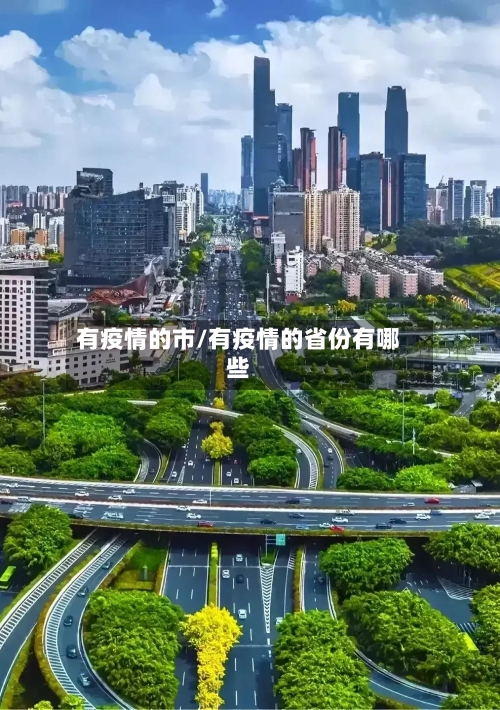 有疫情的市/有疫情的省份有哪些-第2张图片