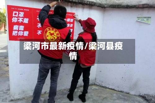 梁河市最新疫情/梁河县疫情-第1张图片