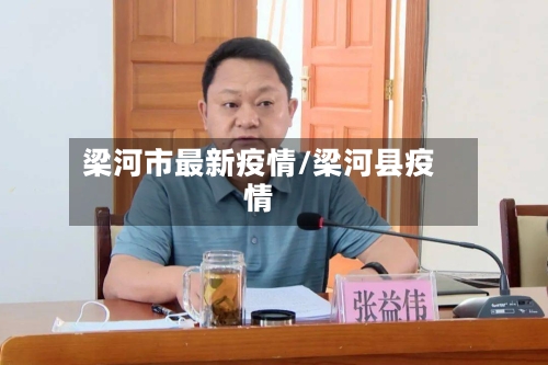 梁河市最新疫情/梁河县疫情-第2张图片