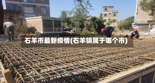 石羊市最新疫情(石羊镇属于哪个市)-第2张图片