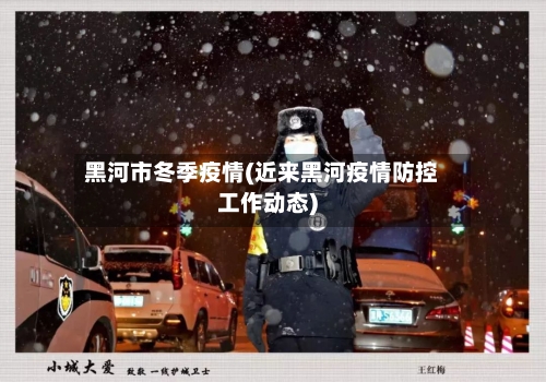 黑河市冬季疫情(近来黑河疫情防控工作动态)-第1张图片