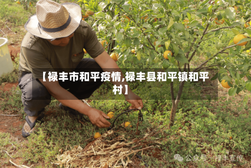 【禄丰市和平疫情,禄丰县和平镇和平村】-第2张图片
