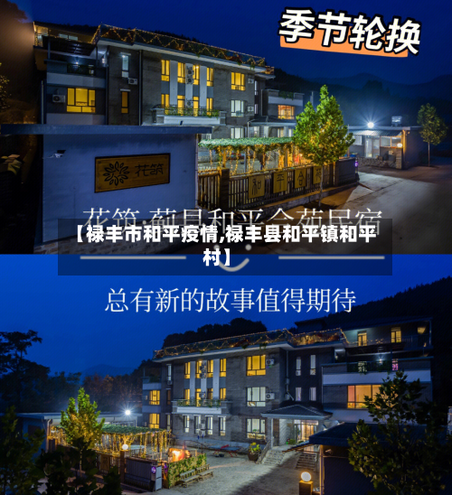 【禄丰市和平疫情,禄丰县和平镇和平村】-第3张图片