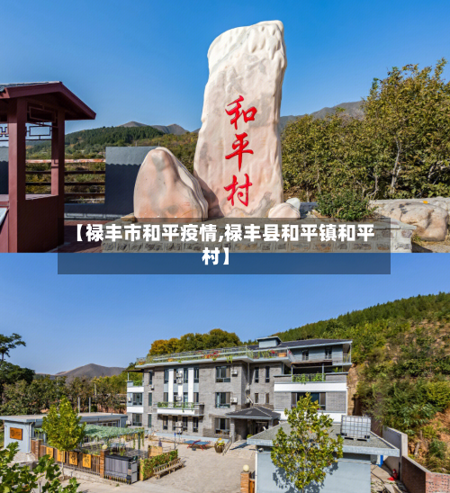 【禄丰市和平疫情,禄丰县和平镇和平村】-第1张图片
