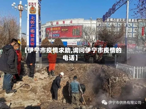 【伊宁市疫情求助,询问伊宁市疫情的电话】-第3张图片