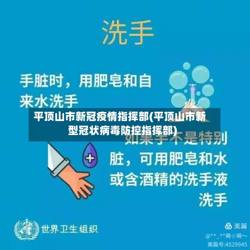 平顶山市新冠疫情指挥部(平顶山市新型冠状病毒防控指挥部)-第1张图片