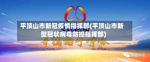 平顶山市新冠疫情指挥部(平顶山市新型冠状病毒防控指挥部)-第2张图片