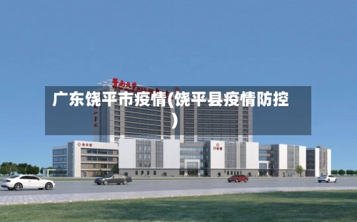 广东饶平市疫情(饶平县疫情防控)-第3张图片