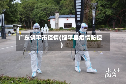 广东饶平市疫情(饶平县疫情防控)-第2张图片