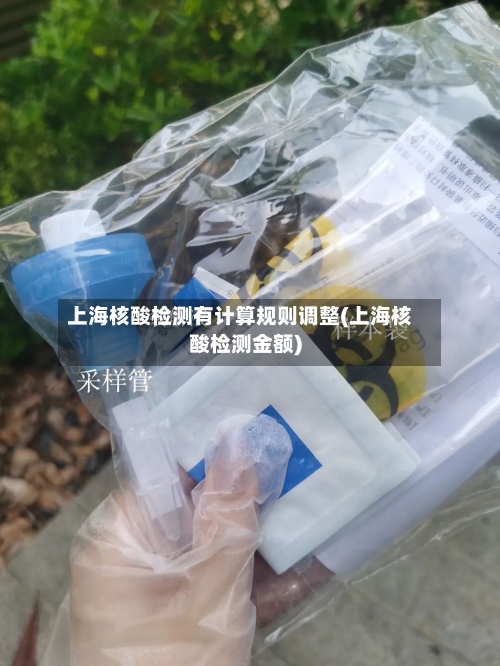 上海核酸检测有计算规则调整(上海核酸检测金额)-第2张图片