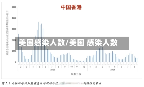 美国感染人数/美国 感染人数-第2张图片