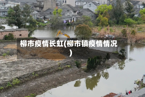 柳市疫情长虹(柳市镇疫情情况)-第1张图片