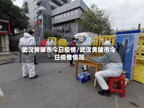 武汉黄陂市今日疫情/武汉黄陂市今日疫情情况-第1张图片