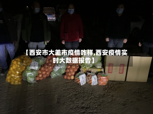 【西安市大差市疫情咋样,西安疫情实时大数据报告】-第3张图片