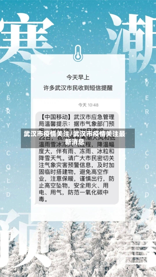 武汉市疫情关注/武汉市疫情关注最新消息-第3张图片