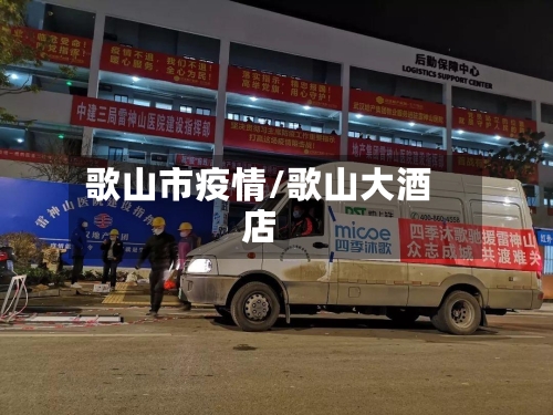 歌山市疫情/歌山大酒店-第1张图片