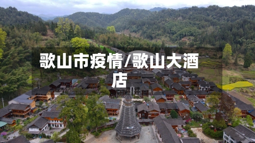 歌山市疫情/歌山大酒店-第2张图片