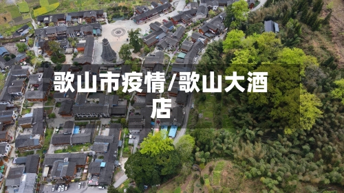 歌山市疫情/歌山大酒店-第3张图片