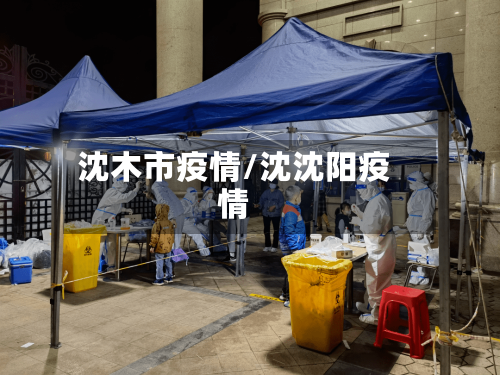 沈木市疫情/沈沈阳疫情-第2张图片