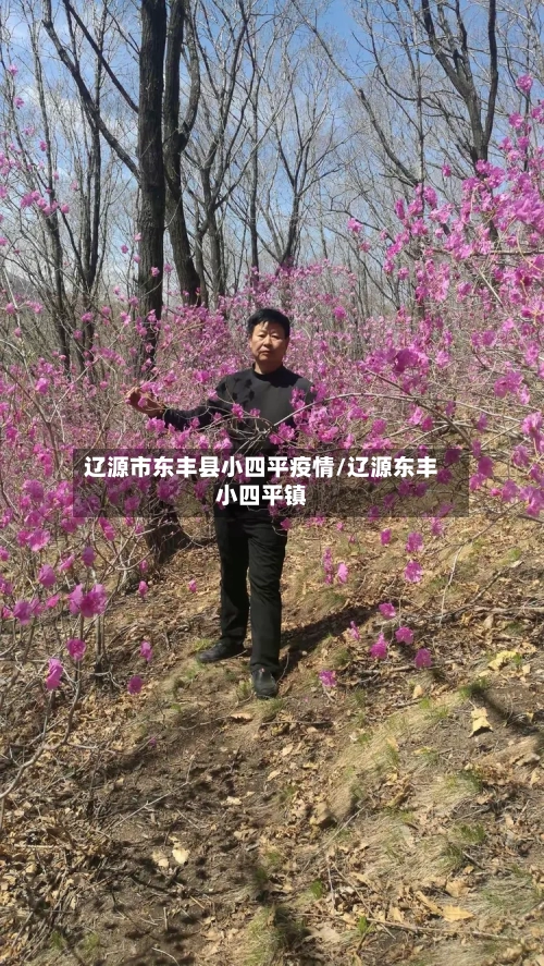 辽源市东丰县小四平疫情/辽源东丰小四平镇-第1张图片