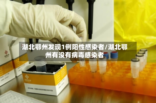 湖北鄂州发现1例阳性感染者/湖北鄂州有没有病毒感染者-第2张图片