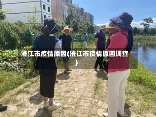 澄江市疫情原因(澄江市疫情原因调查)-第2张图片