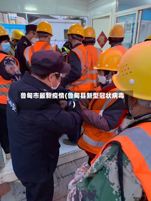 鲁甸市最新疫情(鲁甸县新型冠状病毒)-第2张图片