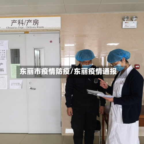 东丽市疫情防疫/东丽疫情通报-第2张图片